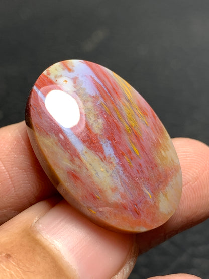 Petrified Palm Wood Oval Cabochon 26.5x18x6mm