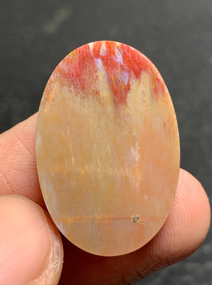 Petrified Palm Wood Oval Cabochon 26.5x18x6mm