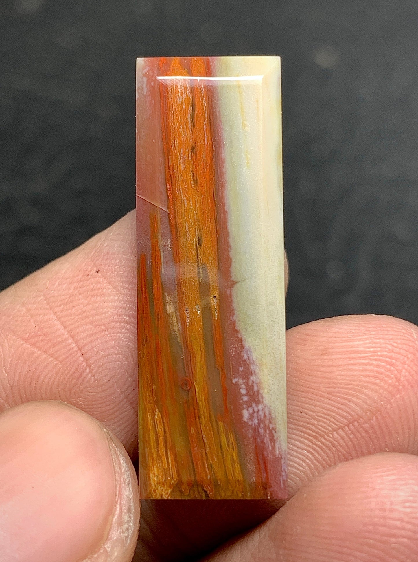 Multicolor Petrified Palmwood Rectangle Cabochon 29.4x10x3.8mm