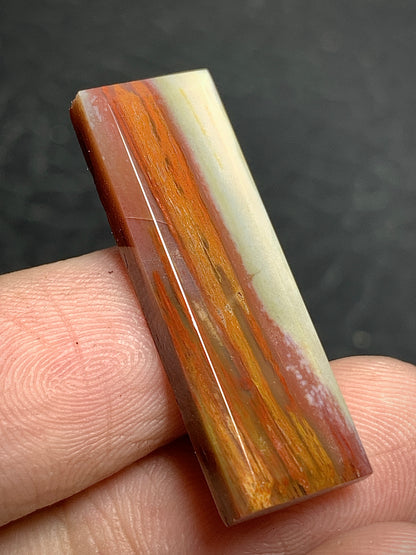 Multicolor Petrified Palmwood Rectangle Cabochon 29.4x10x3.8mm