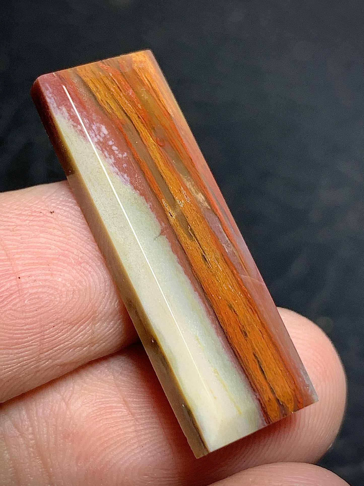 Multicolor Petrified Palmwood Rectangle Cabochon 29.4x10x3.8mm