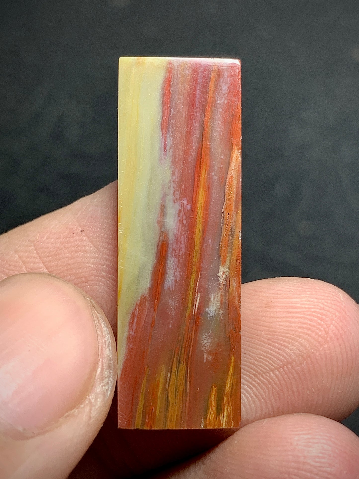 Multicolor Petrified Palmwood Rectangle Cabochon 29.4x10x3.8mm