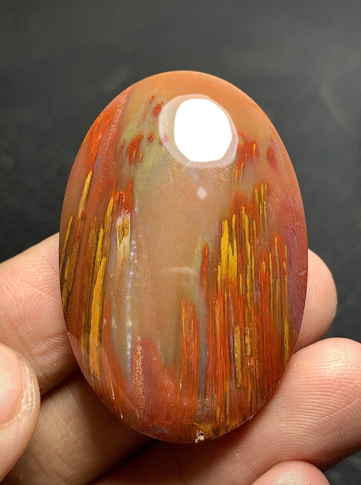 Unique Multicolor Petrified Palmwood Oval Cabochon 41.5x27.8x7.9mm