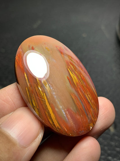 Unique Multicolor Petrified Palmwood Oval Cabochon 41.5x27.8x7.9mm