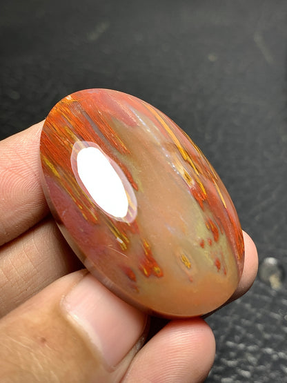 Unique Multicolor Petrified Palmwood Oval Cabochon 41.5x27.8x7.9mm