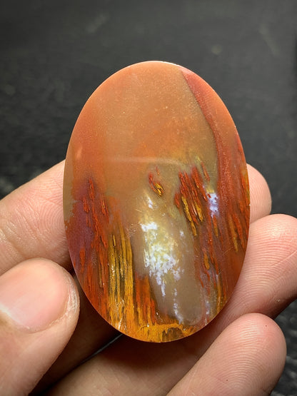 Unique Multicolor Petrified Palmwood Oval Cabochon 41.5x27.8x7.9mm