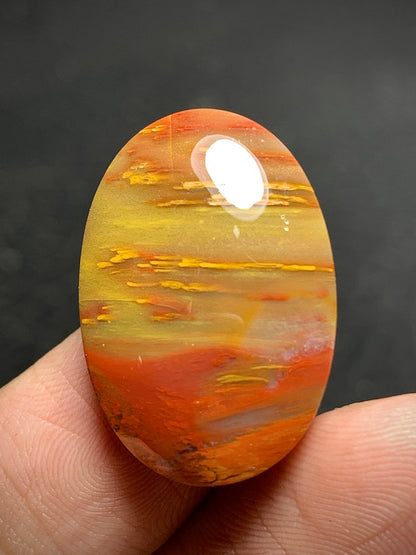 Petrified Palmwood Oval Cabochon 24x16x6mm