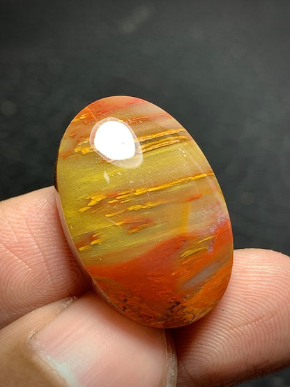 Petrified Palmwood Oval Cabochon 24x16x6mm