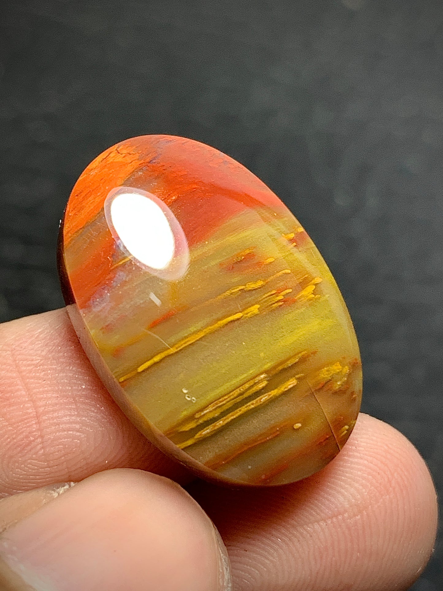 Petrified Palmwood Oval Cabochon 24x16x6mm