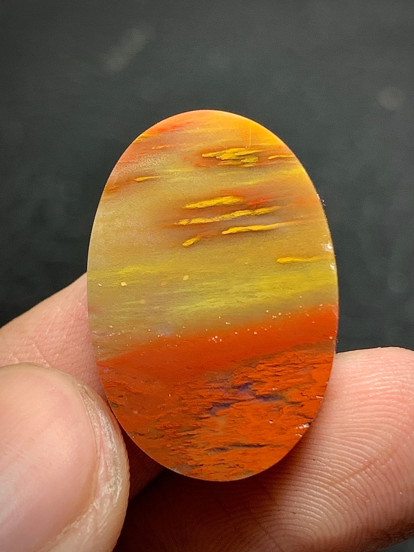 Petrified Palmwood Oval Cabochon 24x16x6mm