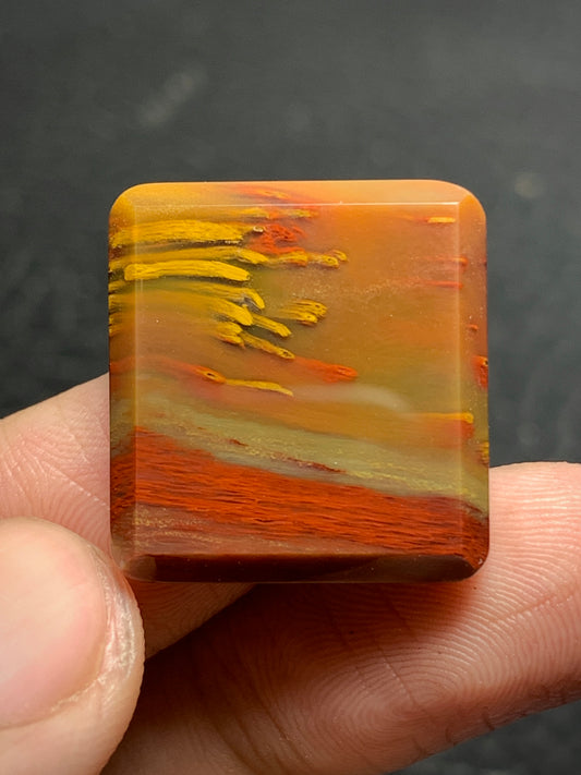 Unique Multicolor Petrified Palmwood Rectangle Cabochon 20.8x19.7x4.3mm