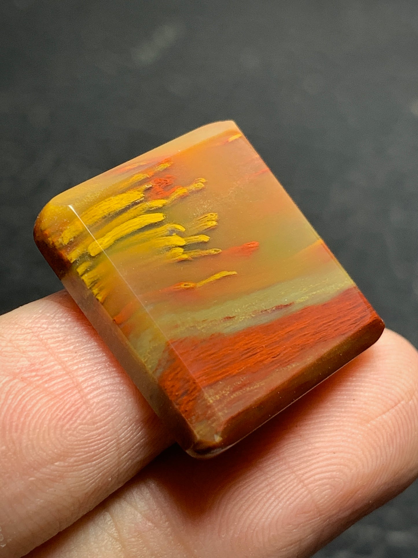 Unique Multicolor Petrified Palmwood Rectangle Cabochon 20.8x19.7x4.3mm