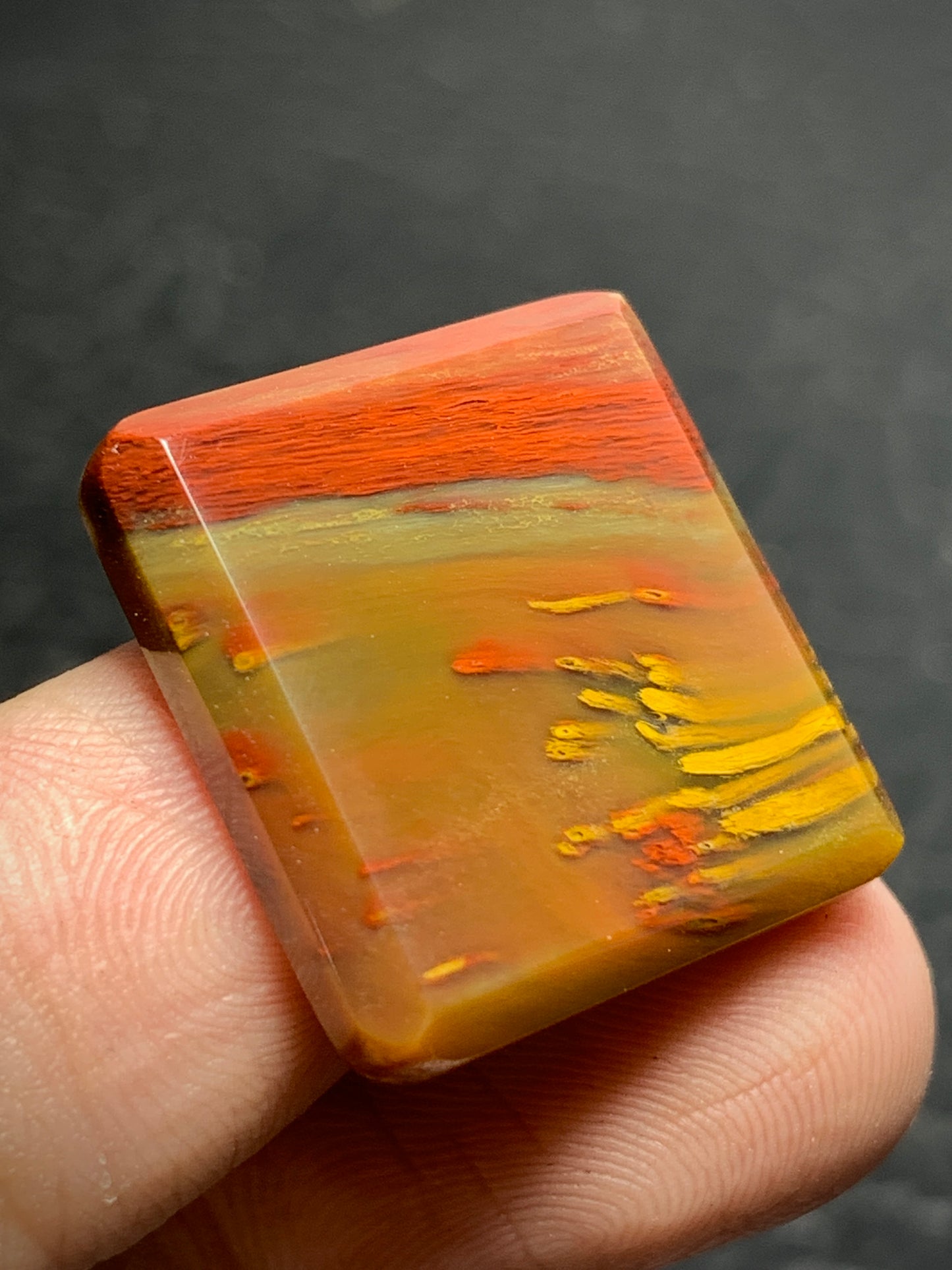 Unique Multicolor Petrified Palmwood Rectangle Cabochon 20.8x19.7x4.3mm