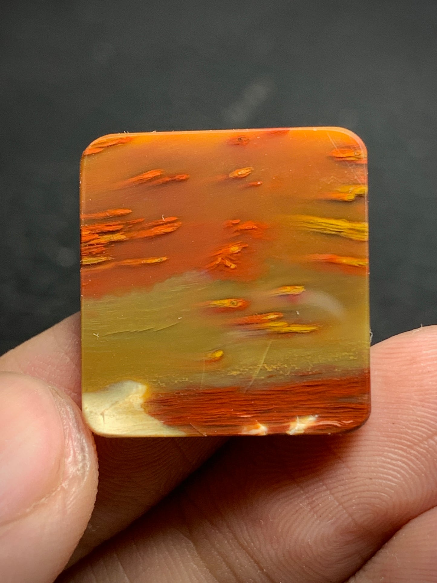 Unique Multicolor Petrified Palmwood Rectangle Cabochon 20.8x19.7x4.3mm