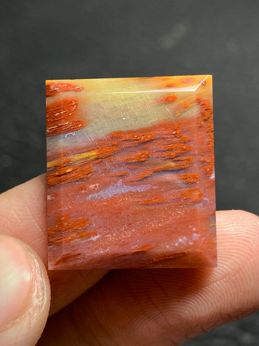 Petrified Palmwood Rectangle Cabochon 21x18.7x4.5mm