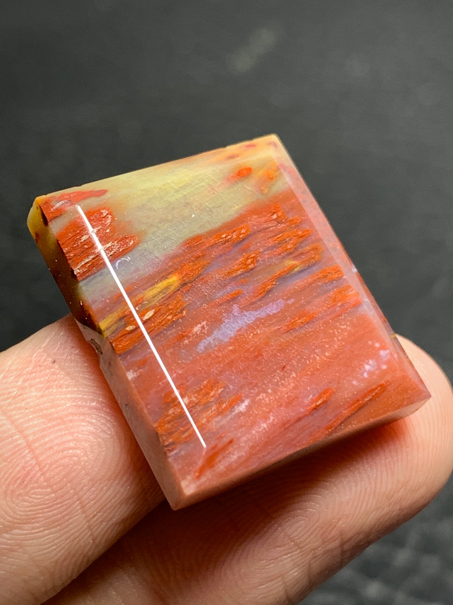 Petrified Palmwood Rectangle Cabochon 21x18.7x4.5mm