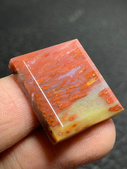 Petrified Palmwood Rectangle Cabochon 21x18.7x4.5mm