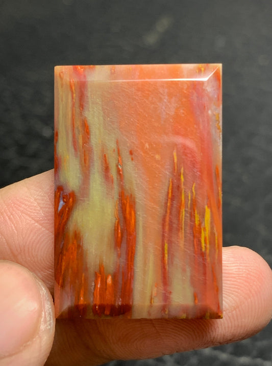 Multicolor Petrified Palmwood Rectangle Cabochon 29.5x19.6x5mm