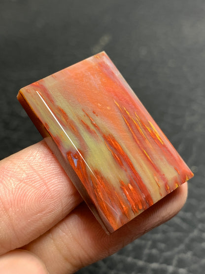 Multicolor Petrified Palmwood Rectangle Cabochon 29.5x19.6x5mm