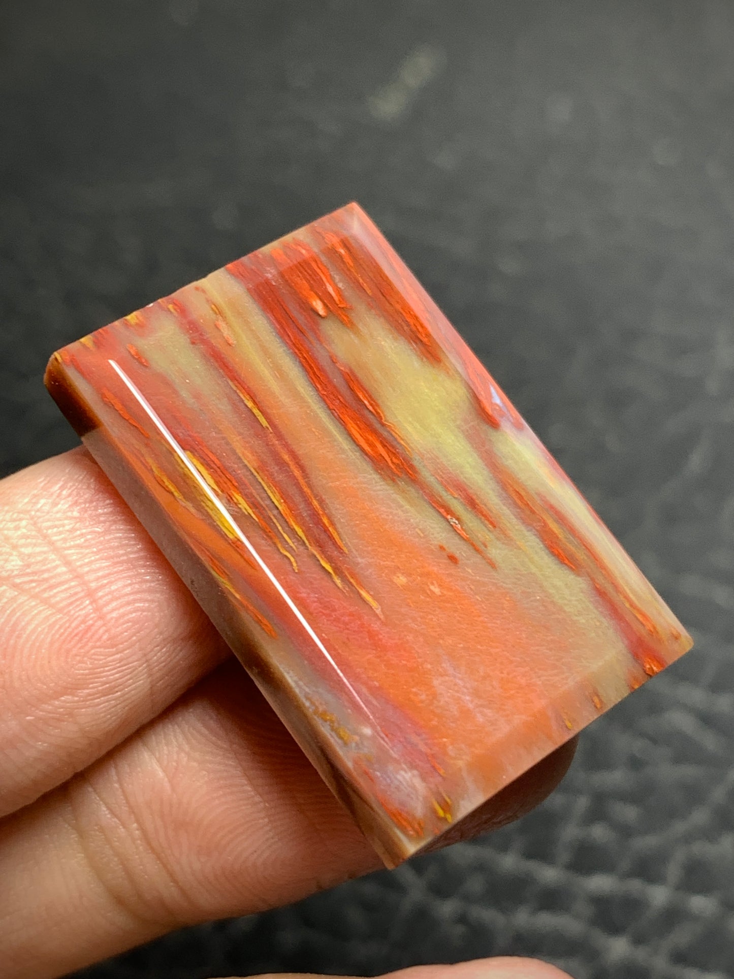 Multicolor Petrified Palmwood Rectangle Cabochon 29.5x19.6x5mm