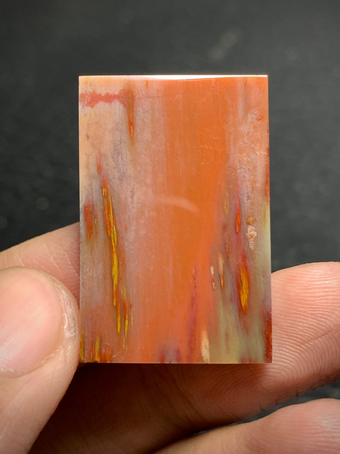 Multicolor Petrified Palmwood Rectangle Cabochon 29.5x19.6x5mm