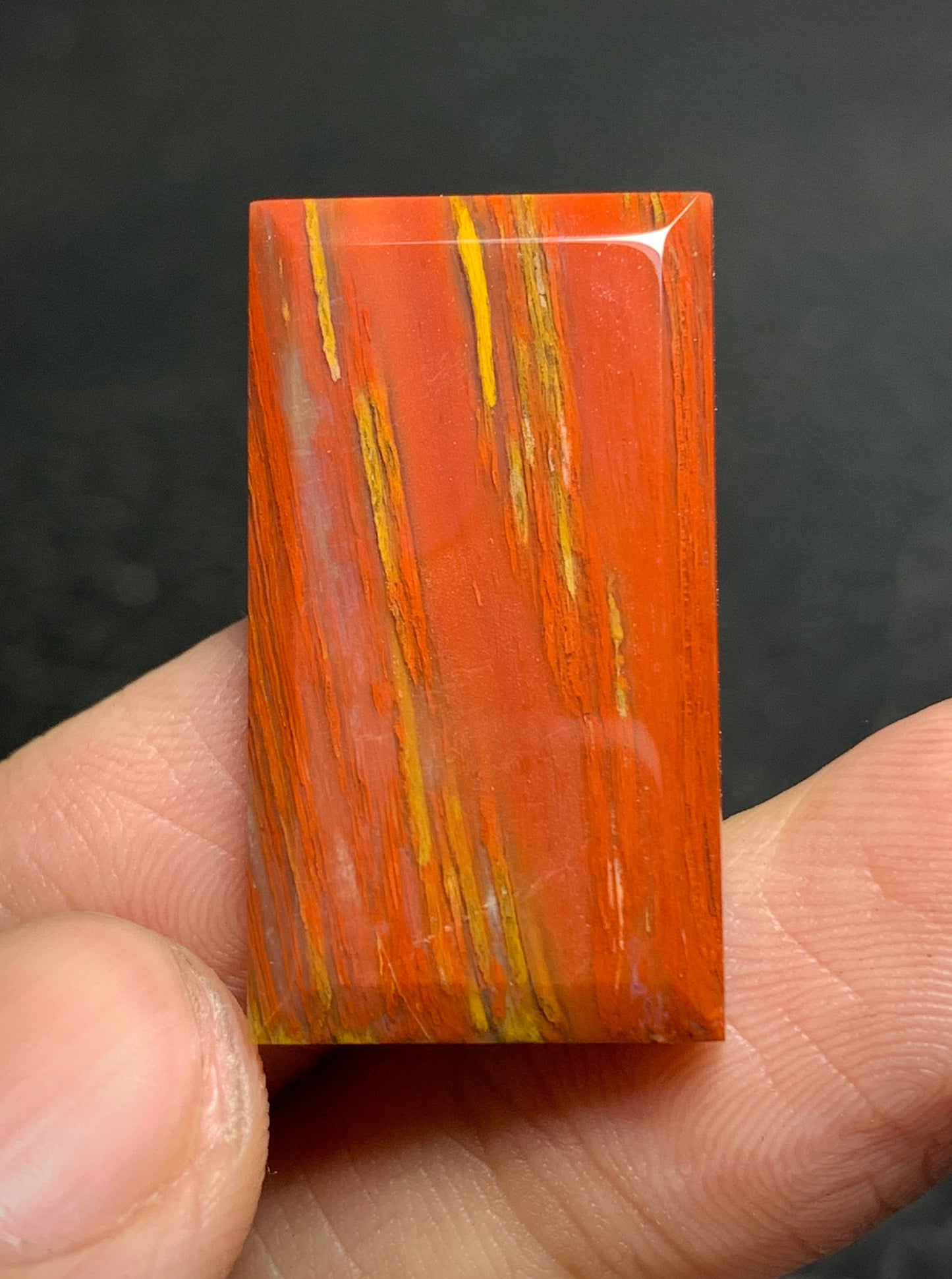 Petrified Palmwood Rectangle Cabochon 28x16x4mm