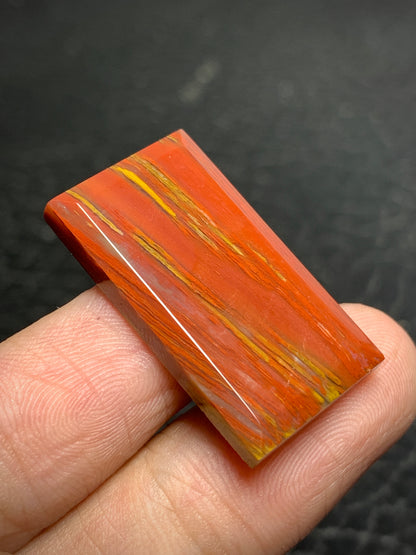 Petrified Palmwood Rectangle Cabochon 28x16x4mm