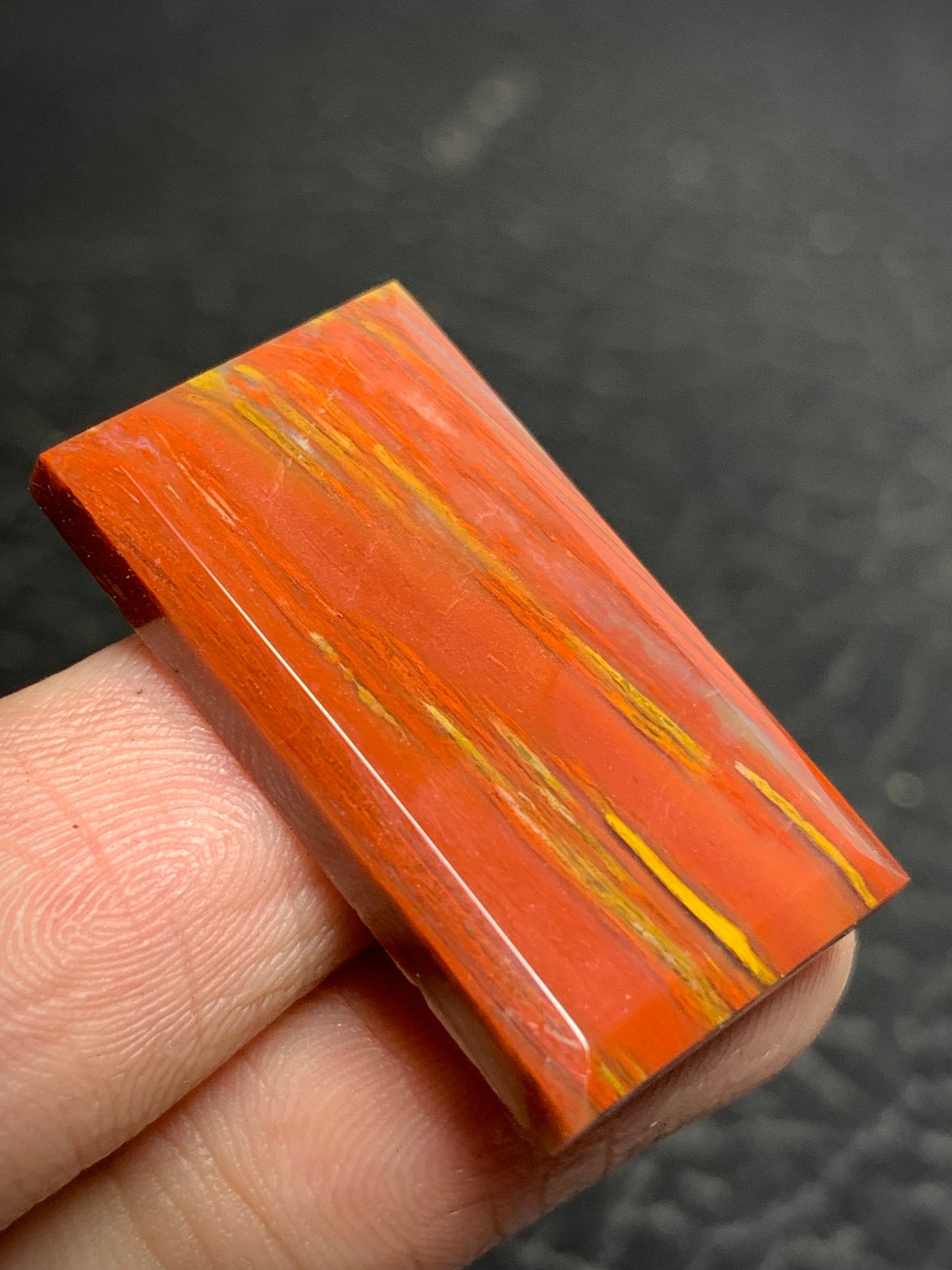 Petrified Palmwood Rectangle Cabochon 28x16x4mm