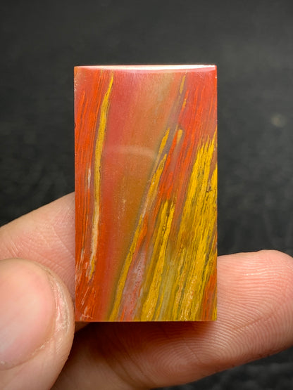 Petrified Palmwood Rectangle Cabochon 28x16x4mm