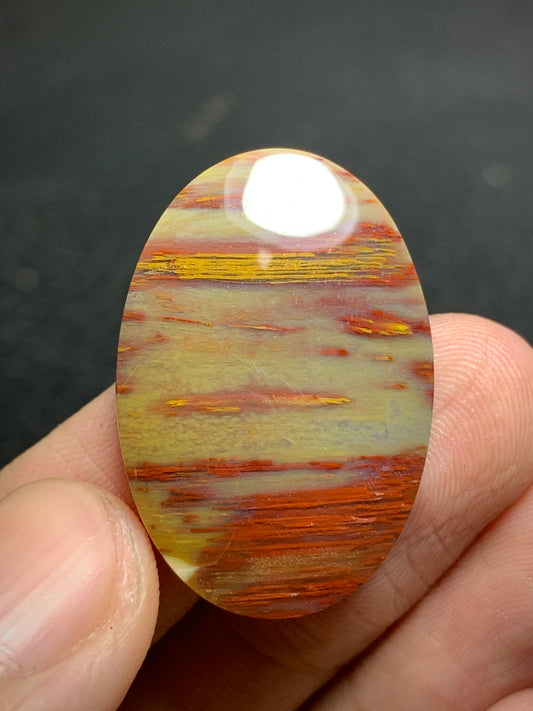 Petrified Palm Wood Oval Cabochon from Sumatra 30x20x5mm