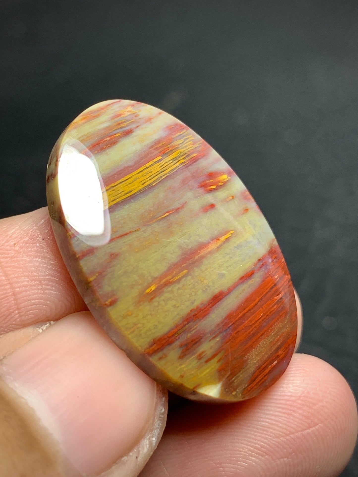 Petrified Palm Wood Oval Cabochon from Sumatra 30x20x5mm