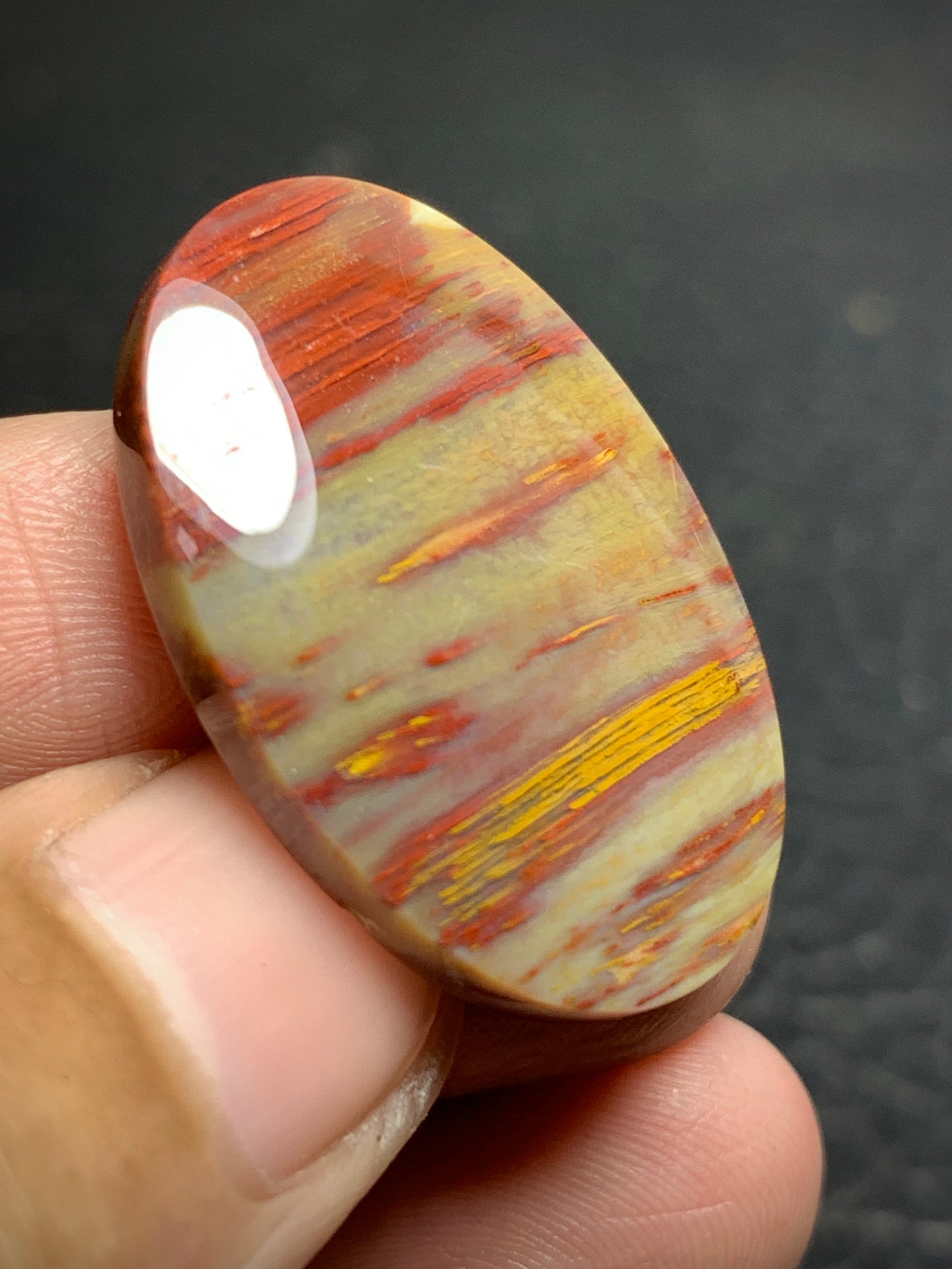 Petrified Palm Wood Oval Cabochon from Sumatra 30x20x5mm