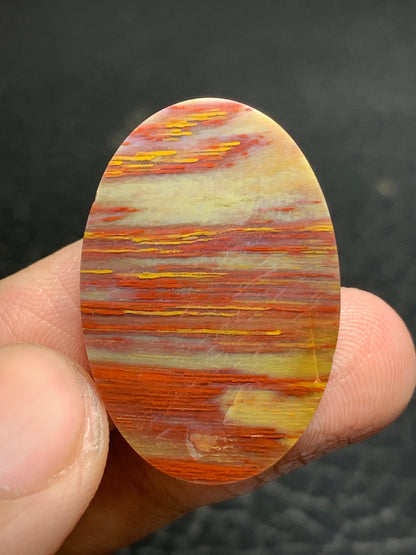 Petrified Palm Wood Oval Cabochon from Sumatra 30x20x5mm