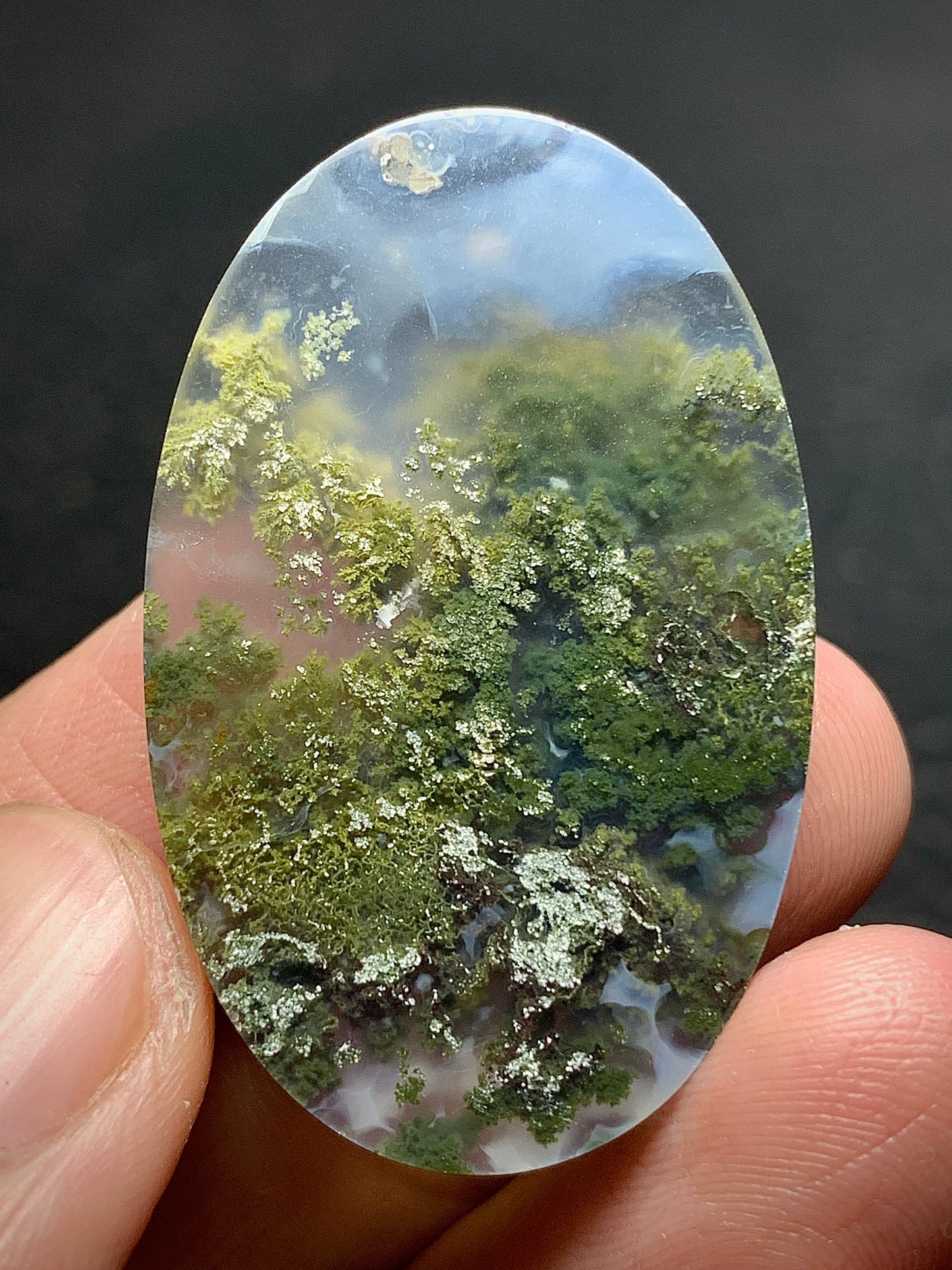 Scenic Moss Agate Oval Cabochon 39x25x8mm