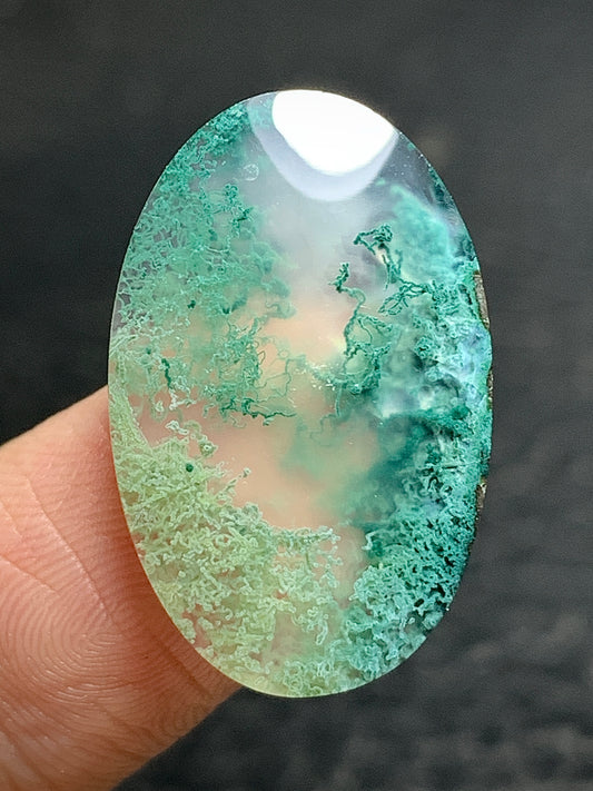 Scenic Moss Agate Oval Cabochon 24x15.5x4mm