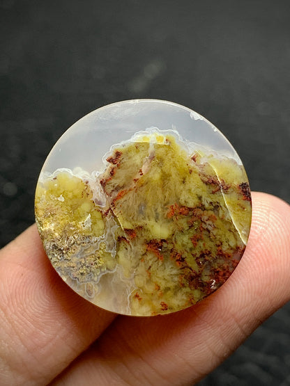 Scenic Moss Plume Agate Round Cabochon 23x23x6mm