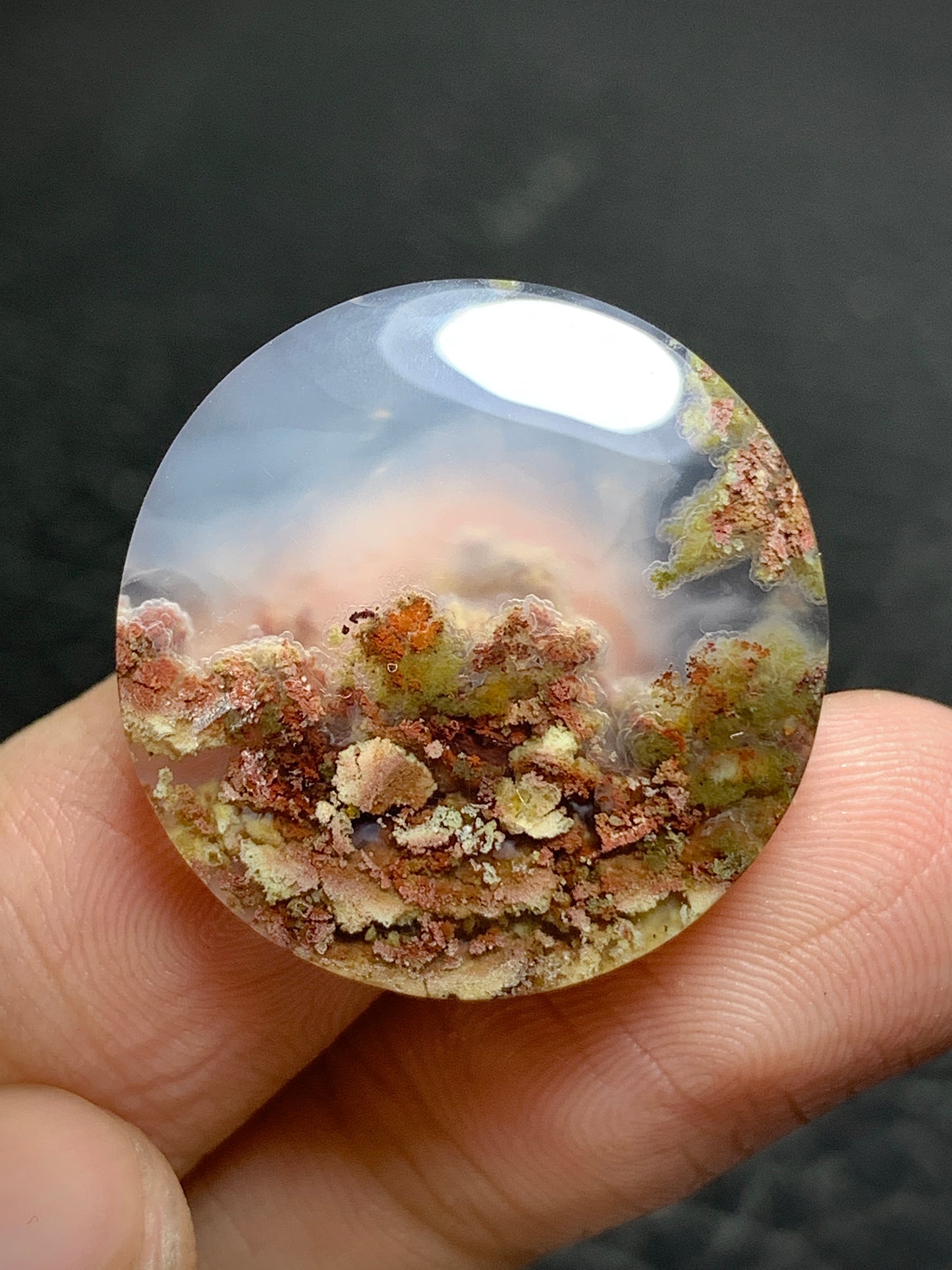 Scenic Moss Agate Round Cabochon 23x23x4.5mm