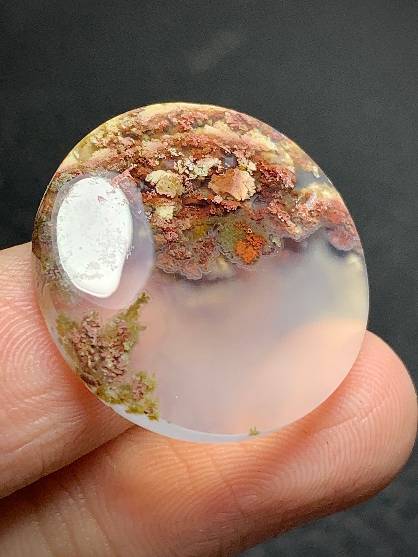 Scenic Moss Agate Round Cabochon 23x23x4.5mm