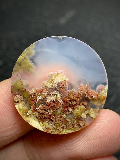 Scenic Moss Agate Round Cabochon 23x23x4.5mm