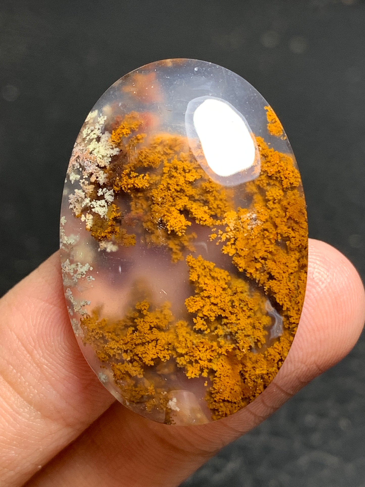 Scenic Moss Agate Oval Cabochon 34x23x7mm