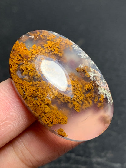 Scenic Moss Agate Oval Cabochon 34x23x7mm