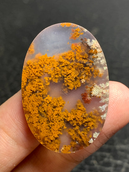 Scenic Moss Agate Oval Cabochon 34x23x7mm