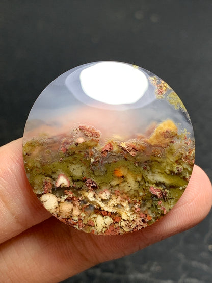 Scenic Moss Agate Round Cabochon 30x30x6mm