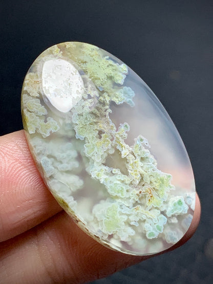 Scenic Moss Agate Oval Cabochon 36x23x6.5mm