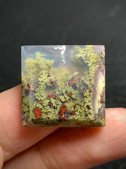 Scenic Moss Agate Square Cabochon 19x19x5mm