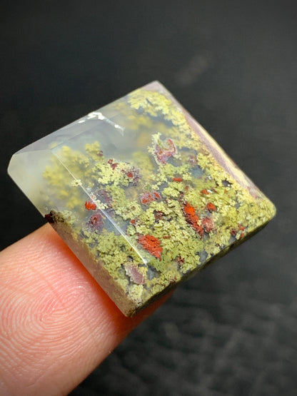 Scenic Moss Agate Square Cabochon 19x19x5mm