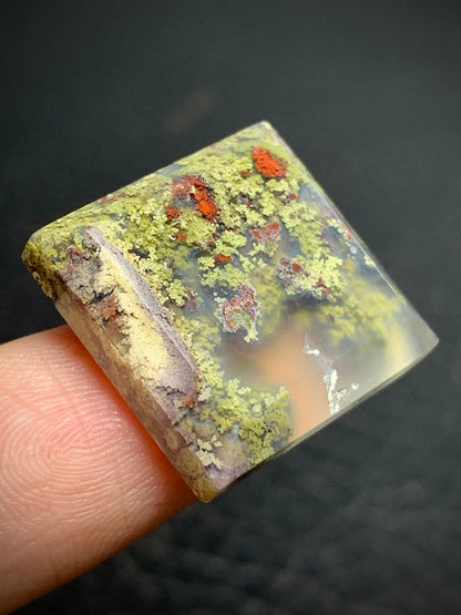 Scenic Moss Agate Square Cabochon 19x19x5mm