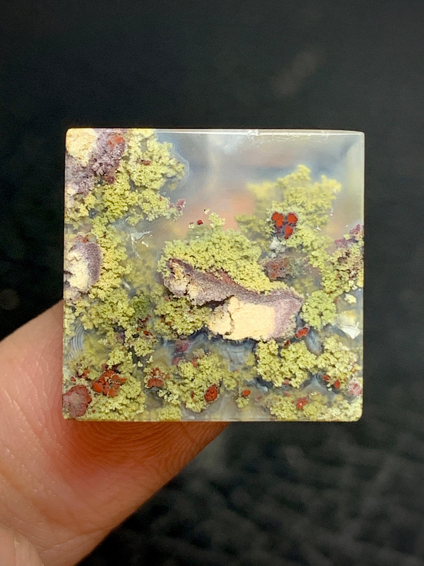 Scenic Moss Agate Square Cabochon 19x19x5mm