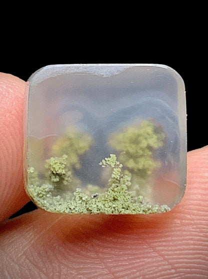 Tiny Scenic Moss Agate Square Cabochon 12x11x5mm