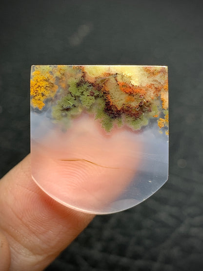 Scenic Moss Agate Fanshape Cabochon 21.4x20x3.8mm